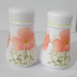 Noritake Bright Side 9079 Shaker Salt & Pepper Progression Series Orange Flowers